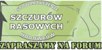 Strona Główna